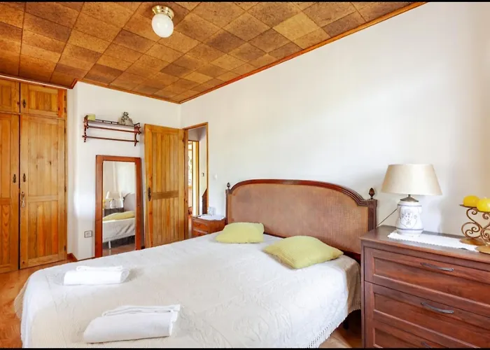 Casa Soutinho - Geres 펜션 Ventosa (Braga)